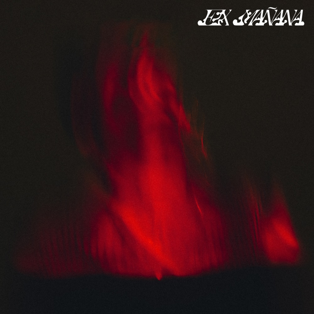 Experta de Parecer  (Instrumental)