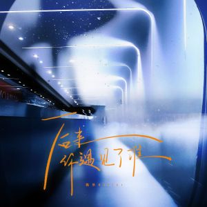 Listen to 后来你遇见了谁 song with lyrics from 凯乐Kailer
