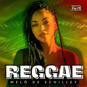 收聽TDR DIVULGAÇÕES的MELÔ DE ECHILLEY (REGGAE VERSION)歌詞歌曲