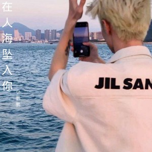 Album 在人海坠入你 from 薛佳鹏