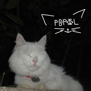 ดาวน์โหลดและฟังเพลง Ніколи พร้อมเนื้อเพลงจาก POPIL