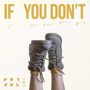 Album If You Don't from 苏静雯