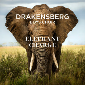 ดาวน์โหลดและฟังเพลง Elephant Charge พร้อมเนื้อเพลงจาก Drakensberg Boys Choir