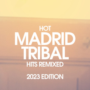 Listen to Bump In The House (Tribal Peruz Mix) song with lyrics from Rainbow Connection