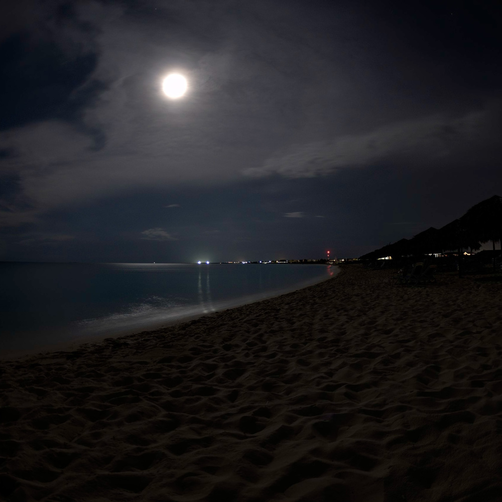 Love All Night