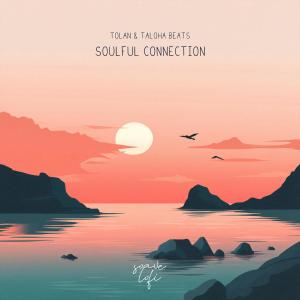 Tolan的专辑Soulful Connection