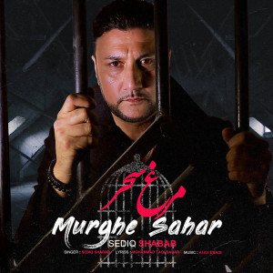 Listen to Murghe Sahar song with lyrics from Sediq Shabab