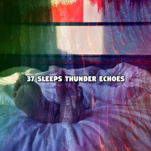 Album 37 Sleeps Thunder Echoes oleh The Rain Library