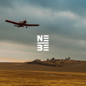 Listen to Goodbye song with lyrics from Nebe