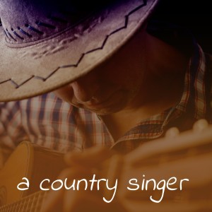Listen to Pine State Honky Tonk song with lyrics from Claude Casey