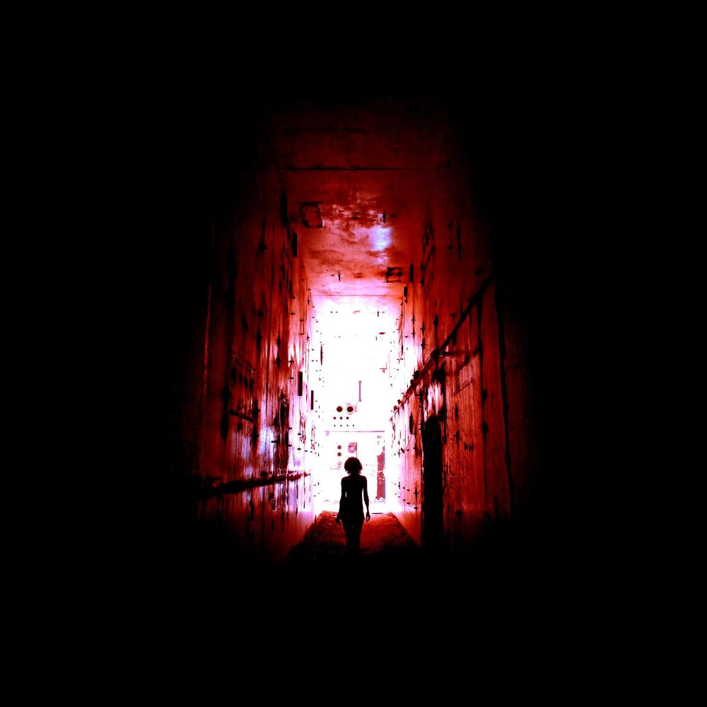 Inside (其他)