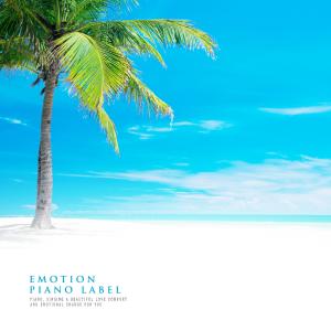 ดาวน์โหลดและฟังเพลง Sky Petals พร้อมเนื้อเพลงจาก Rain Boots