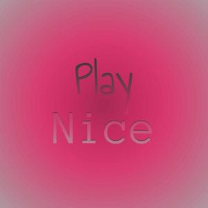 Album Play Nice from Various