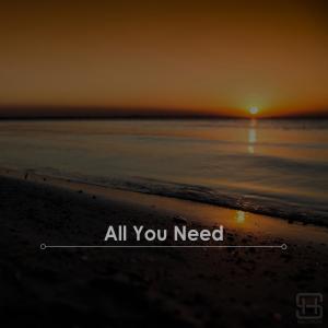 Hensen的專輯All You Need