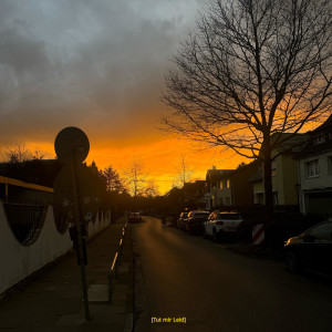 Listen to Tut Mir Leid (Explicit) song with lyrics from Karol