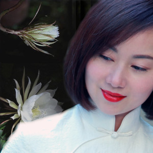 马小倩的专辑昙花愿