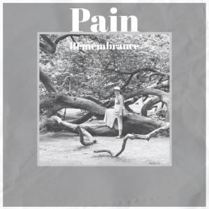 Various的专辑Pain Remembrance