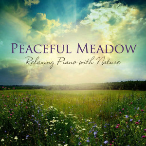 Tom Ameen的專輯Peaceful Meadow