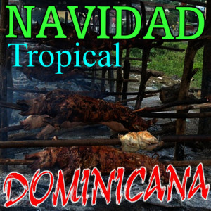 ดาวน์โหลดและฟังเพลง Remix by Alex Sensation - Merengue Picante พร้อมเนื้อเพลงจาก Navidad Tropical Dominicana