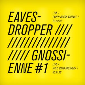 Listen to Eavesdropper (Live at Paper Dress Vintage 23.02.19) song with lyrics from Zelt