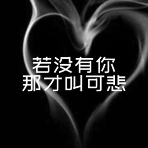 Album 若没有你那才叫可悲 from 1908公社