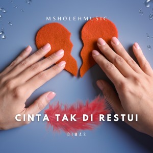 Album CINTA TAK DI RESTUI from Dimas