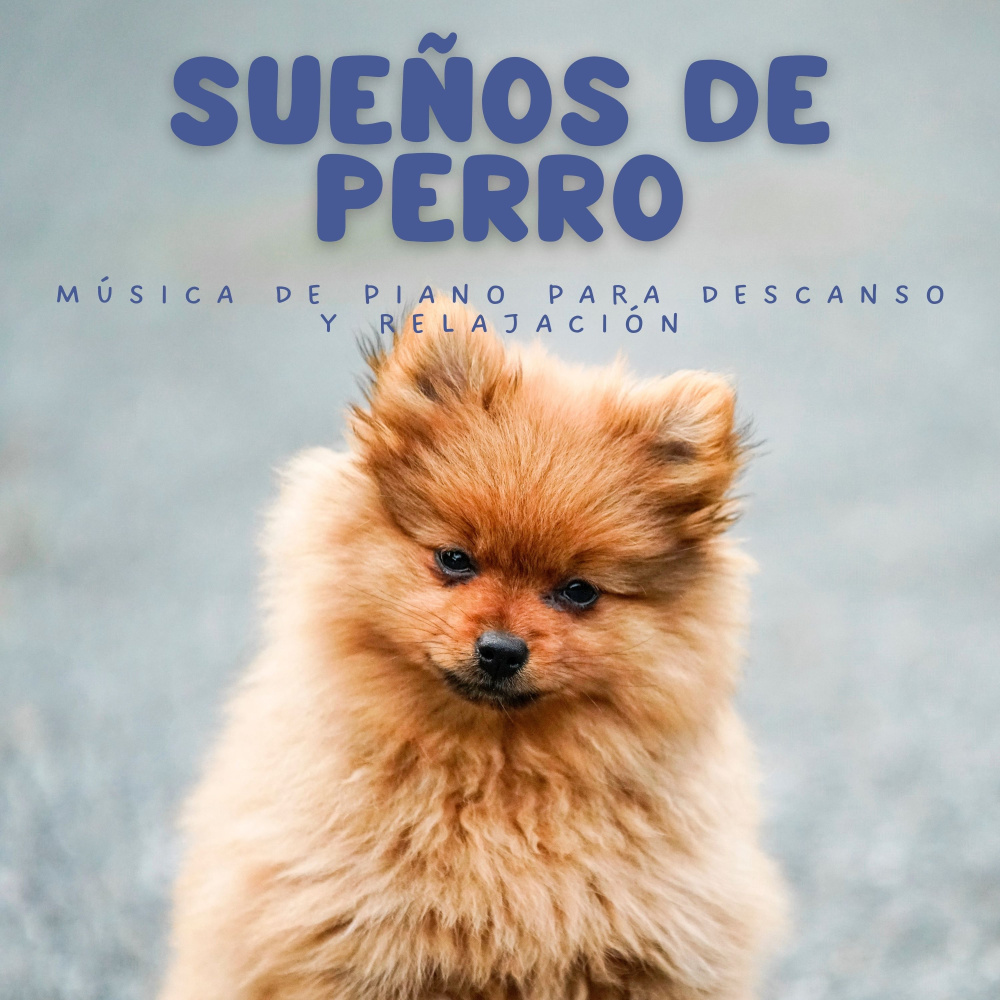 Música Ambiental De Piano Para La Atención Plena Y Relajación