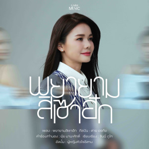 ดาวน์โหลดและฟังเพลง พยายามสิเซาฮัก พร้อมเนื้อเพลงจาก ต่าย อรทัย