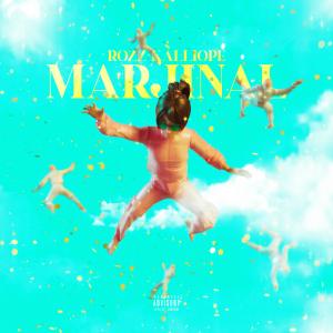 Rozz Kalliope的专辑Marjinal (Explicit)
