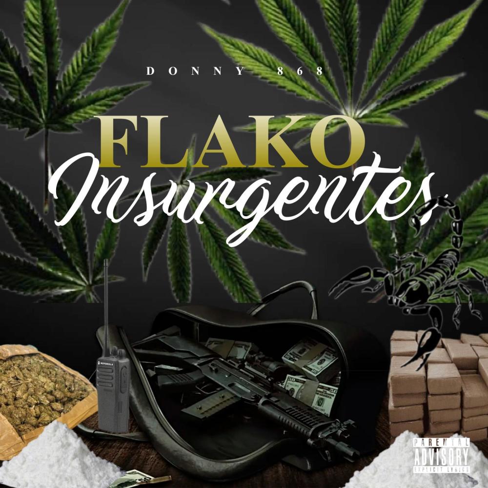 FLAKO INSURGENTES (DEDICACION ESPECIAL) (Explicit)
