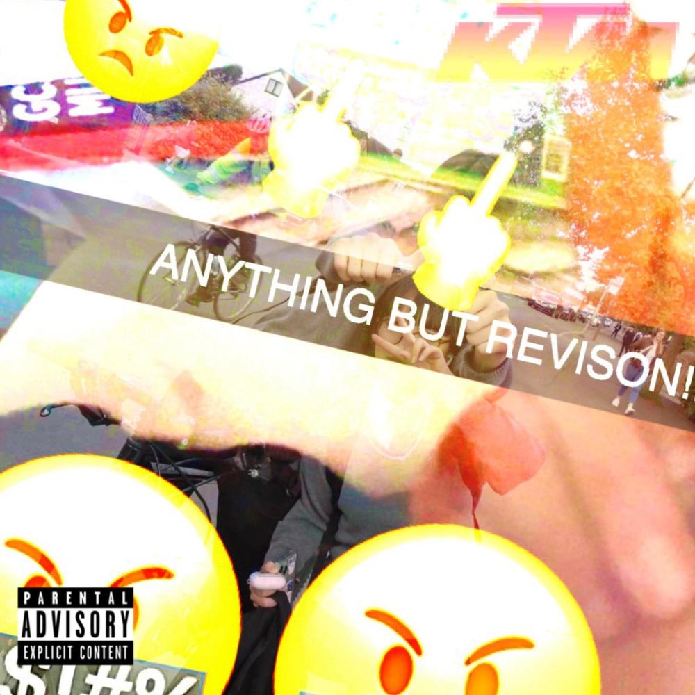 ANYTHING BUT REVISION!! (Explicit)