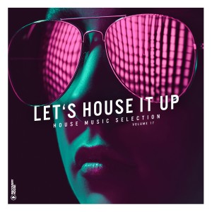 Various Artists的專輯Let's House It up, Vol. 17