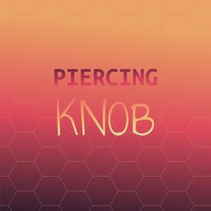 Piercing Knob dari Various