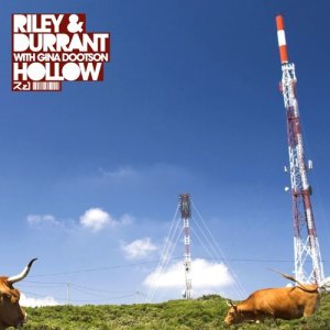 ดาวน์โหลดและฟังเพลง Hollow (Radio Edit) พร้อมเนื้อเพลงจาก Riley & Durrant