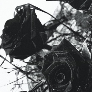 Listen to Всё хорошо (Explicit) song with lyrics from Formula