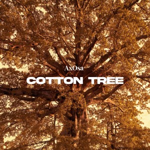 Listen to Cotton Tree song with lyrics from AxOsa