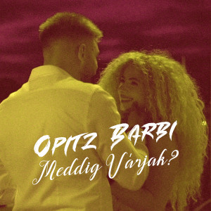 Dengarkan lagu Meddig várjak? nyanyian Opitz Barbara dengan lirik