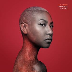 ดาวน์โหลดและฟังเพลง There Is Probably Fire พร้อมเนื้อเพลงจาก Dominique Fils-Aimé