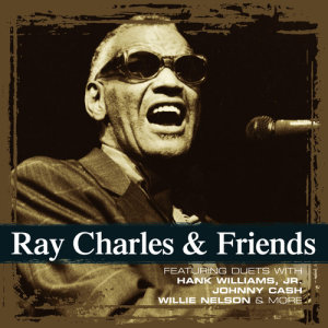 ดาวน์โหลดและฟังเพลง We Didn't See a Thing พร้อมเนื้อเพลงจาก Ray Charles