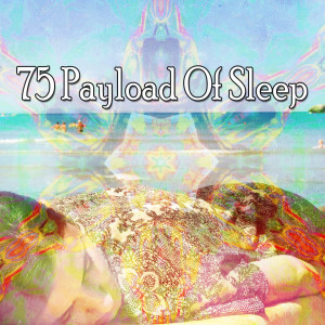 Album 75 Payload of Sle - EP from Ocean Sound