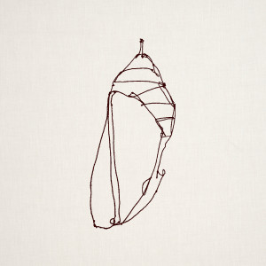 Jake Downs的專輯Chrysalis