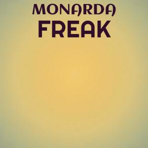 Various Artists的專輯Monarda Freak