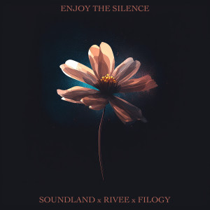Album Enjoy The Silence from Soundland