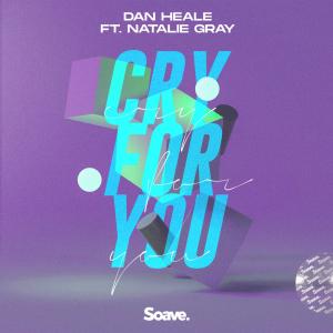 Listen to Cry For You (feat. Natalie Gray) song with lyrics from Dan Heale