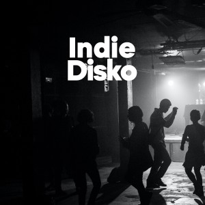 Various Artists的專輯Indie Disko (Explicit)