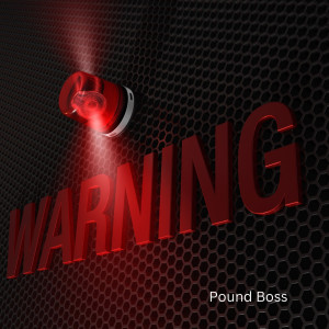 收聽Pound Boss的Warning歌詞歌曲