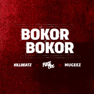 Album Bokor Bokor (feat. Fuse Odg & Mugeez) from Killbeatz