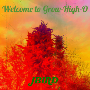 Listen to New World's Disorder (Explicit) song with lyrics from Jbird
