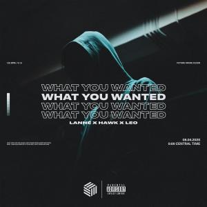 Album What You Wanted (Explicit) from LANNÉ