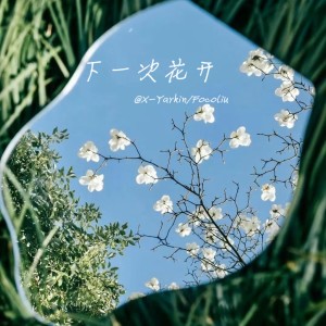 Album 下一次花开 from 